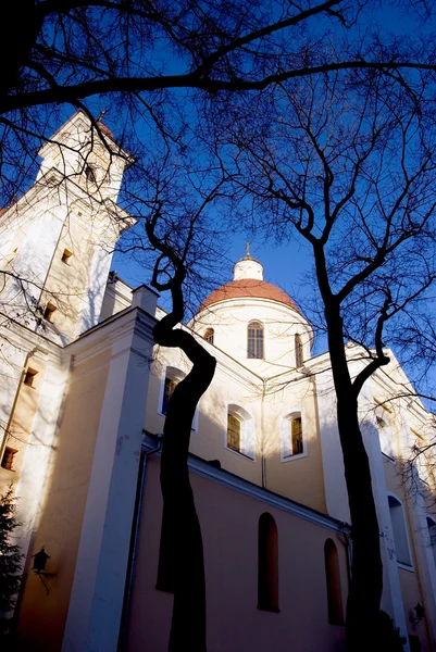 Orthodox church in Lithuania capital Vilnius — Stock Photo, Image