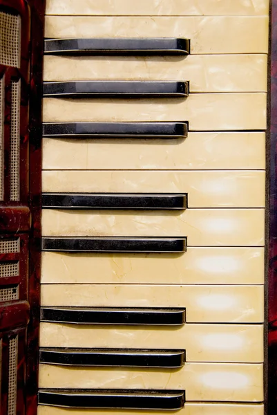 Vintage fragmento de teclado acordeón —  Fotos de Stock