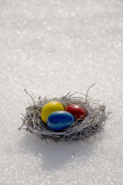 Nid avec des œufs de Pâques sur la neige de printemps — Photo