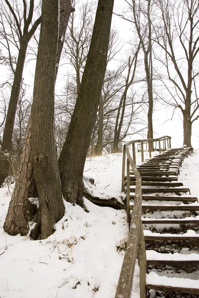 Winter wooden upstairs on the hill — Stock Photo, Image