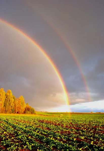 Arco-íris de outono — Fotografia de Stock