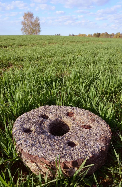 Старый жернов на весеннем поле — стоковое фото