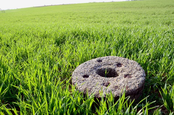 Old millstone on winter crop spring field — Stock Photo, Image