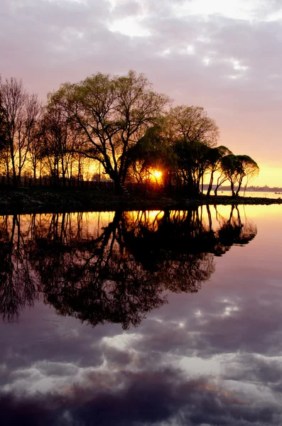 日没の太陽と春の木の反射 — ストック写真