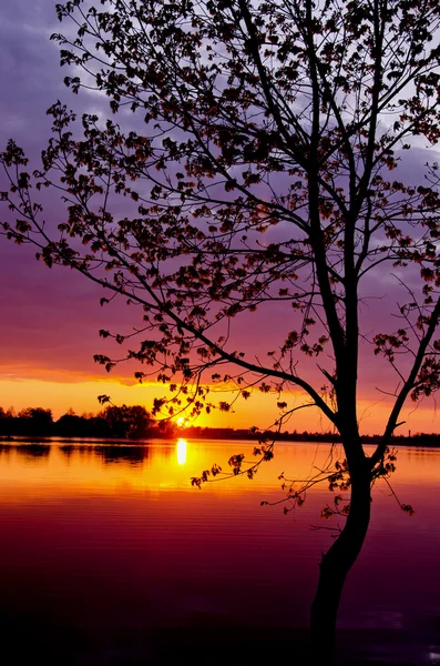 Lago de primavera hermoso sol enviado —  Fotos de Stock