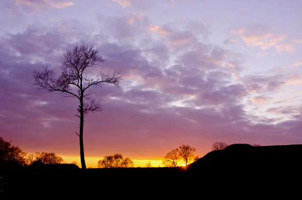 Bella sera tramonto sfondo — Foto Stock