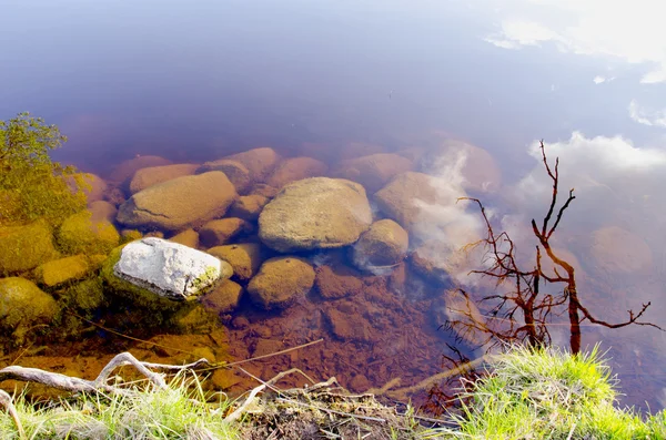 Stones in the spring lake water — Stock Photo, Image