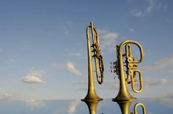 Два музичні духові інструменти на дзеркалі — стокове фото