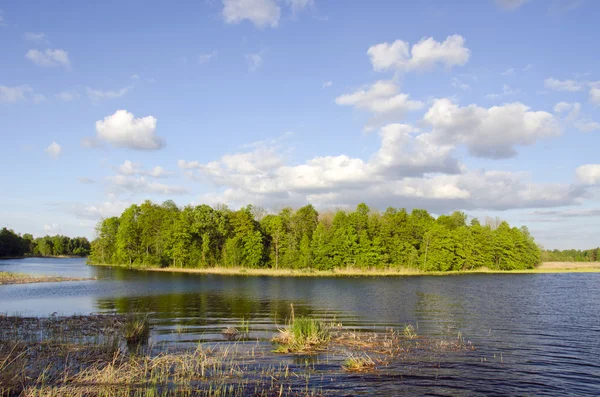 Liten ö i sjön våren — Stockfoto