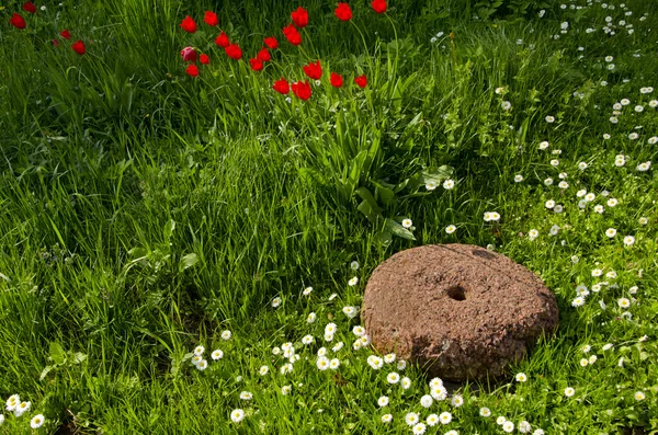 Старый жернов в саду и цветы — стоковое фото