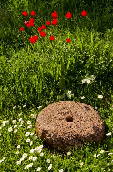 Oude molensteen in de tuin en bloemen — Stockfoto