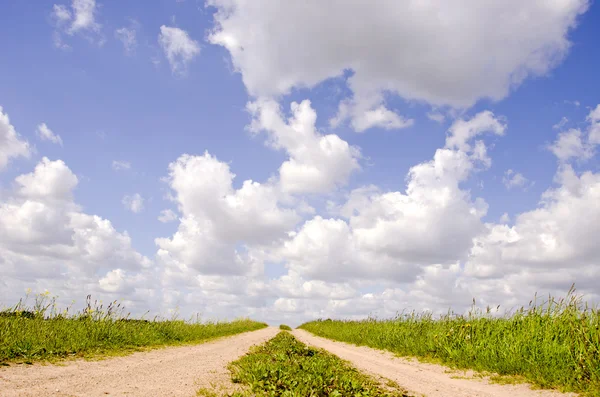 Platteland weg en in de zomer wolken — Stockfoto