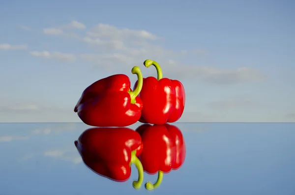Two red peppers on mirror — Stock Photo, Image