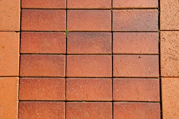 Ladrillos de cerámica piso fondo — Foto de Stock