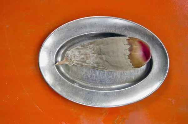 Гнилой баклажан в металлической пластине — стоковое фото