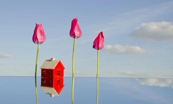 Haussymbol und Tulpen auf Spiegel — Stockfoto