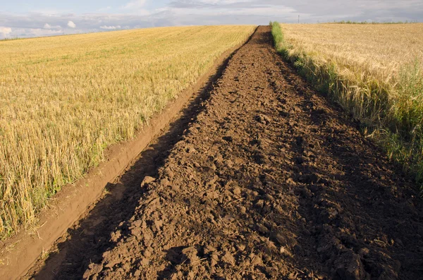 Första jordbearbetning dike i fältet gröda — Stockfoto