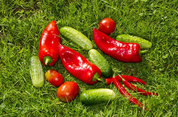 Röda och gröna grönsaker på gräset — Stockfoto