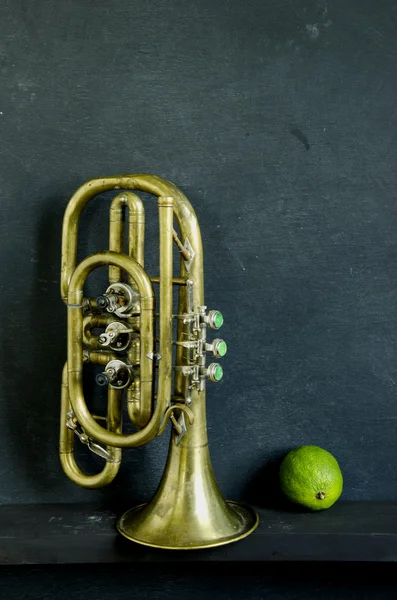 Brass instrument and green lemon — Stock Photo, Image