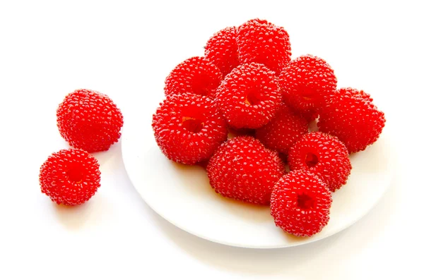 Raspberry on white plate — Stock Photo, Image