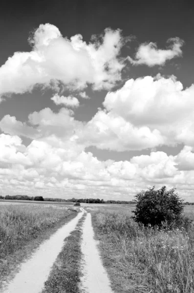 Paysage rural noir et blanc — Photo