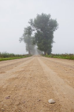 Gravel road and mist clipart