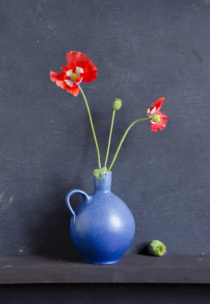 Modrou vázu a makové květy — Stock fotografie