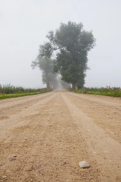 Гравийная дорога и туман — стоковое фото