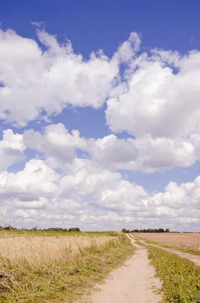 Rural road and clouds — Stock Photo, Image
