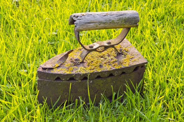 Винтажное железо на зеленой траве — стоковое фото