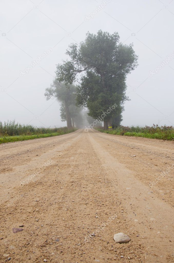 Gravel road and mist