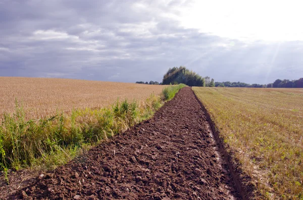 Sommaren slut jordbearbetning dike i fältet gröda — Stockfoto