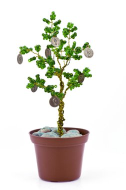 zenginlik sembolü olarak bir para ağacı