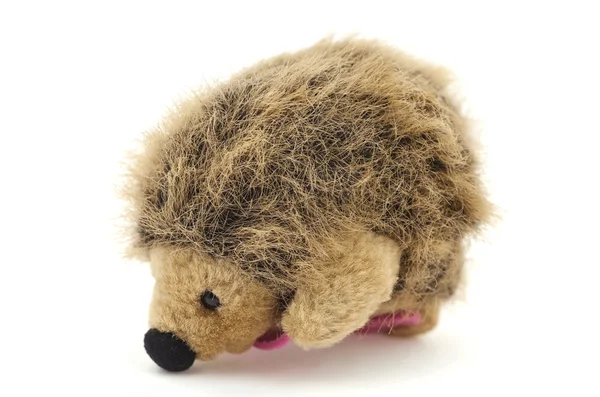 Um ouriço de brinquedo — Fotografia de Stock