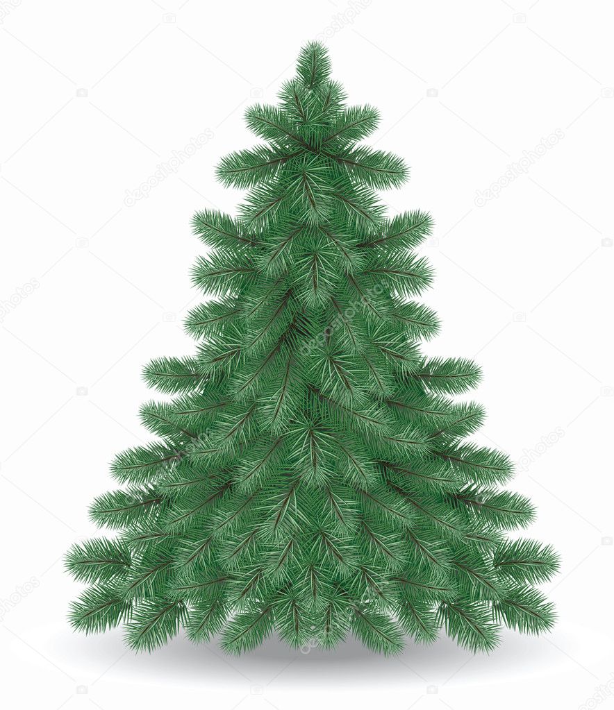 https://static6.depositphotos.com/1047246/631/v/950/depositphotos_6310222-stock-illustration-christmas-tree.jpg