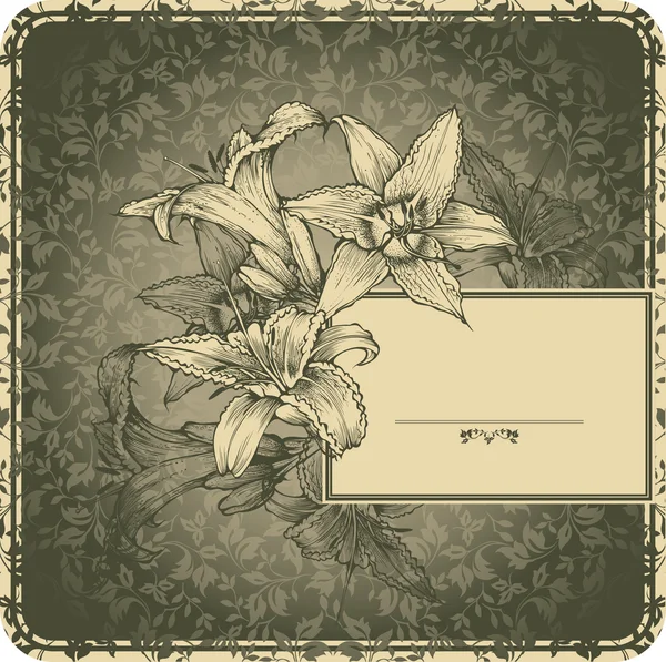 复古图文框与盛开的百合花 — 图库矢量图片