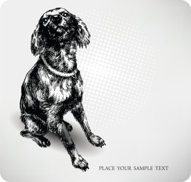 Sweet dog hand drawing vector clipart