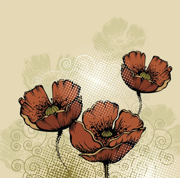 Fondo floral con amapolas florecientes — Vector de stock