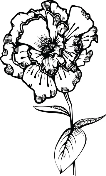 Vecteur de fleurs — Image vectorielle