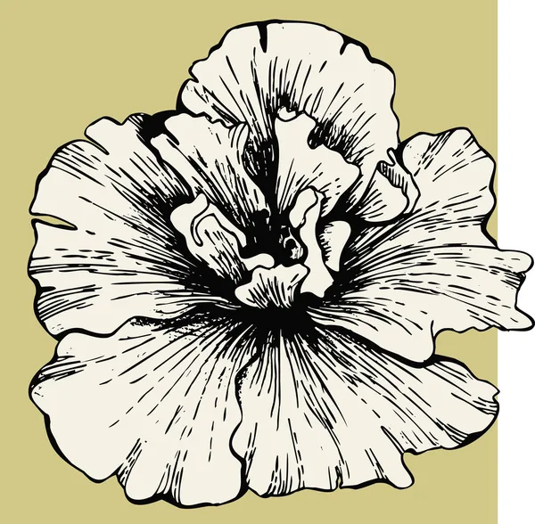 ハイビスカスの花 — ストックベクタ