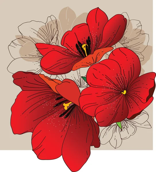 Tulipes rouges — Image vectorielle