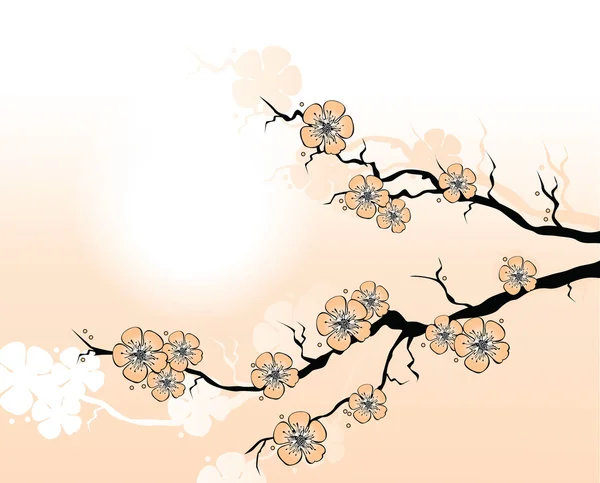 Sakura Branch — Stock Vector