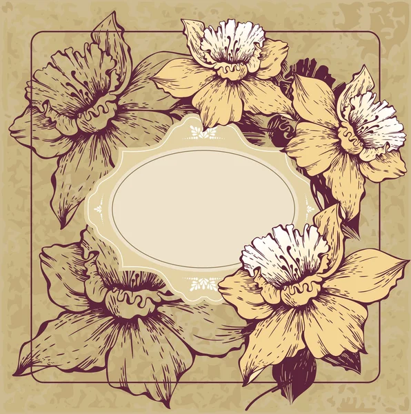 Moldura vintage com floração Narcisos — Vetor de Stock