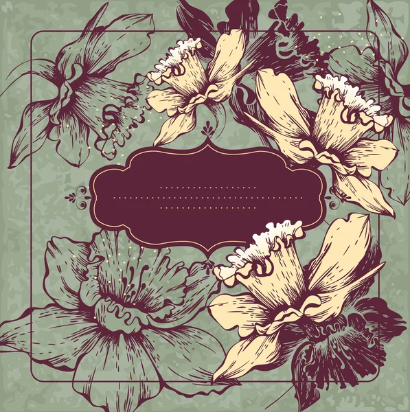 Cadre vintage avec des narcisses fleuries — Image vectorielle