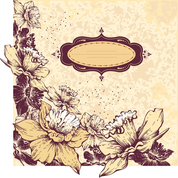Moldura vintage com floração Narcisos —  Vetores de Stock