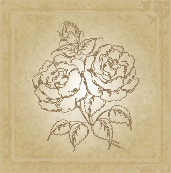 Cadre vintage avec rose — Image vectorielle