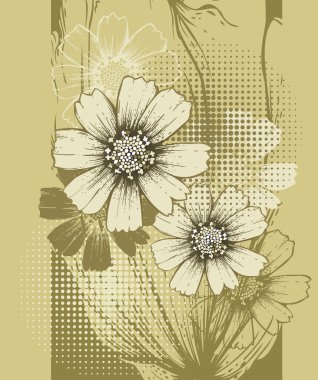 Floral background with blooming cosmos clipart