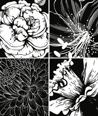 Set of floral graphic backgrounds clipart