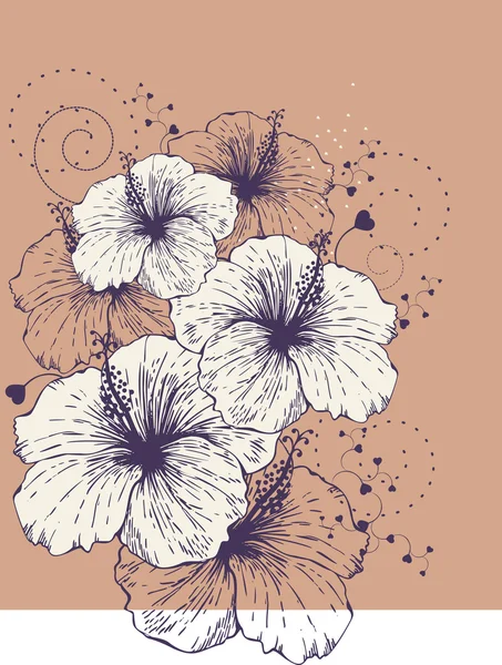 Fond avec hibiscus en fleurs — Image vectorielle