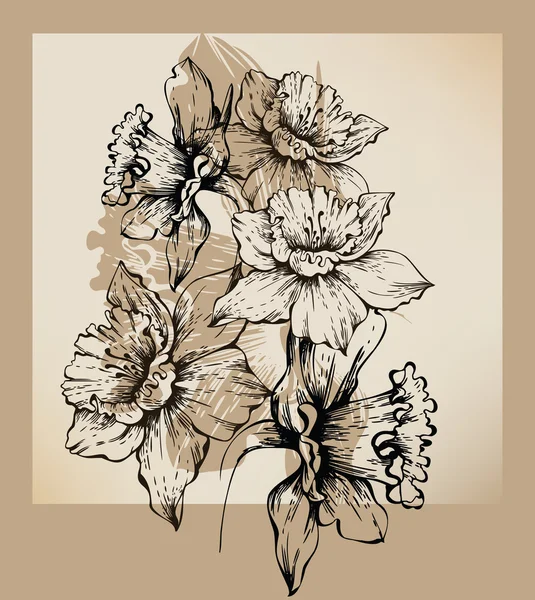 Φόντο με σχέδιο daffodils — Διανυσματικό Αρχείο
